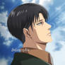 Levi Ackerman