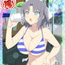 senran kagura triathlon bikini 2/2