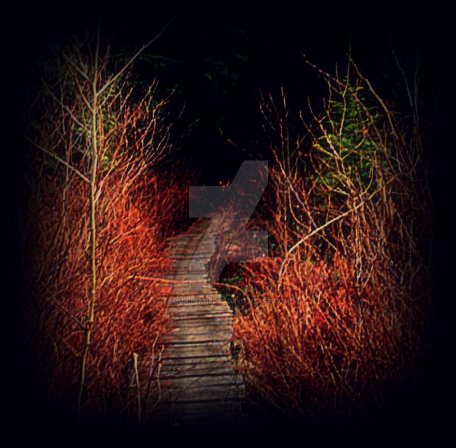 Dark Path Stranger Dark Path by JuniperHedge on DeviantArt