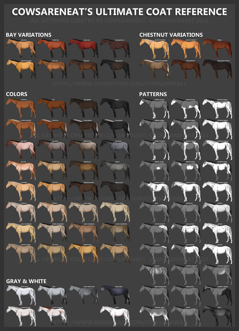 Cow's Ultimate Coat Reference by CowsAreNeat on DeviantArt