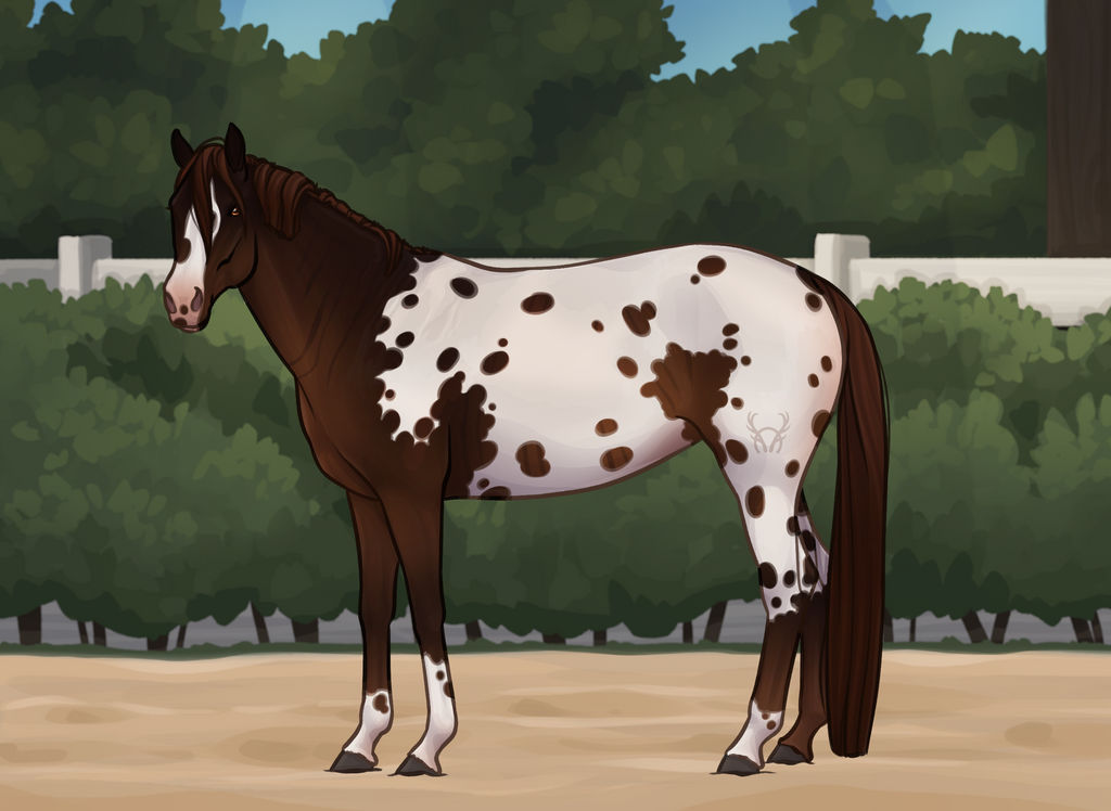 Cartoon Tommel Rod Tommel by CowsAreNeat on DeviantArt