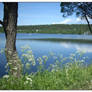 Summer by the lake