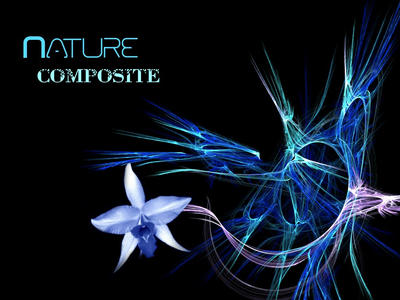 Composite Nature