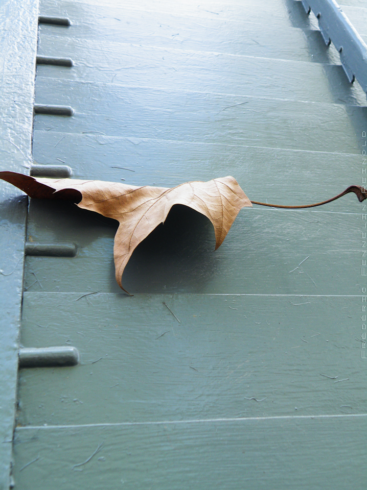 Closing leaf