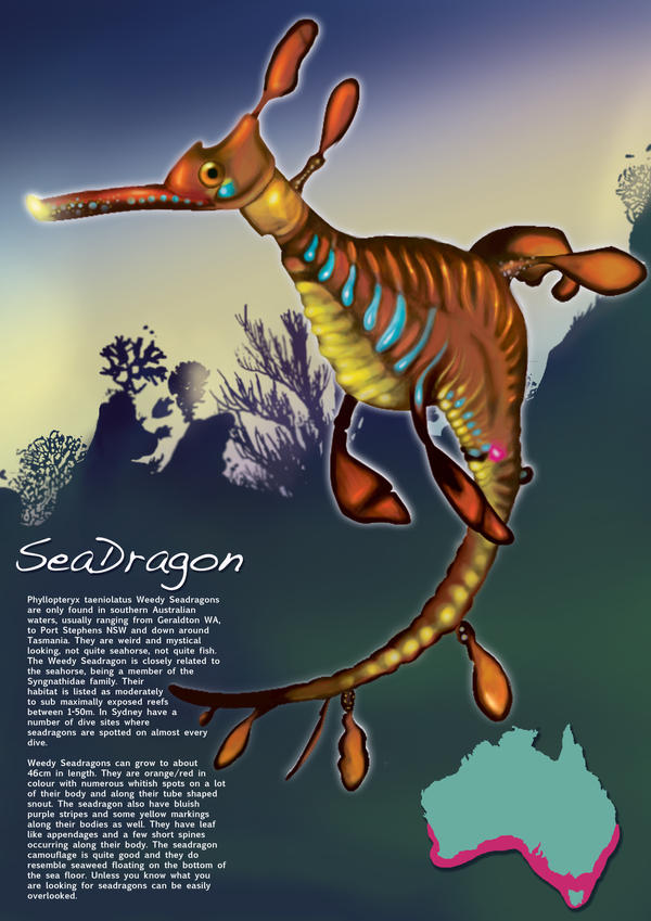 seadragon