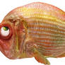 Grumpy Fish png