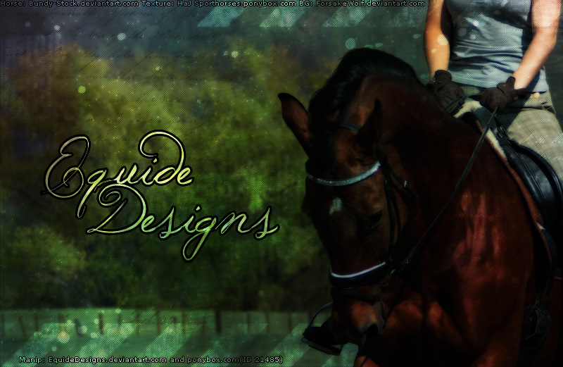 Bay Horse Picture Premade