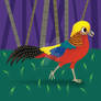 GoldenPheasant