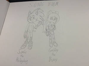 .:*SONIC BOOM - Sonic and Gabby*:.