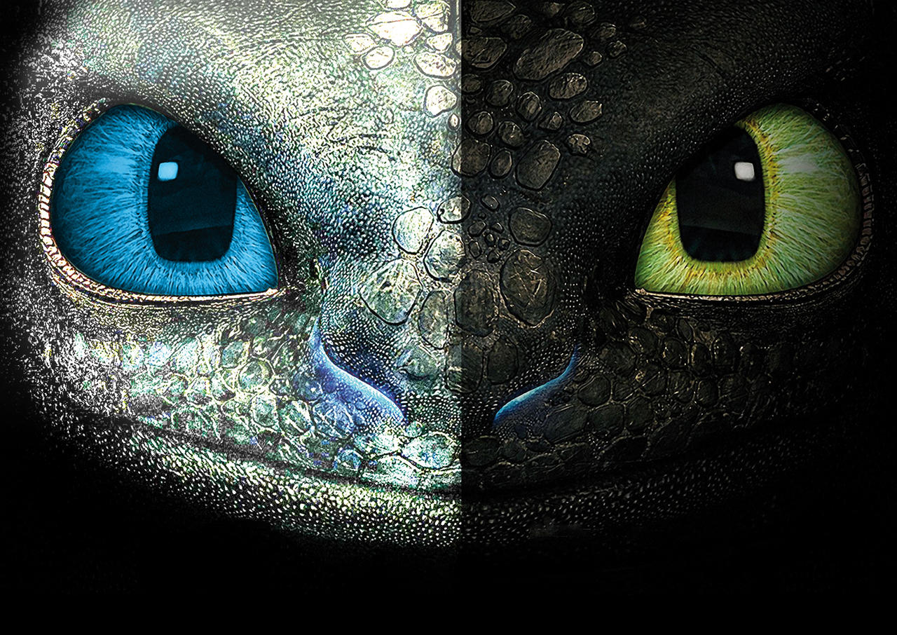 toothless and light fury- how to train your dragon by scintilla98 on ...