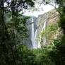 The jog falls