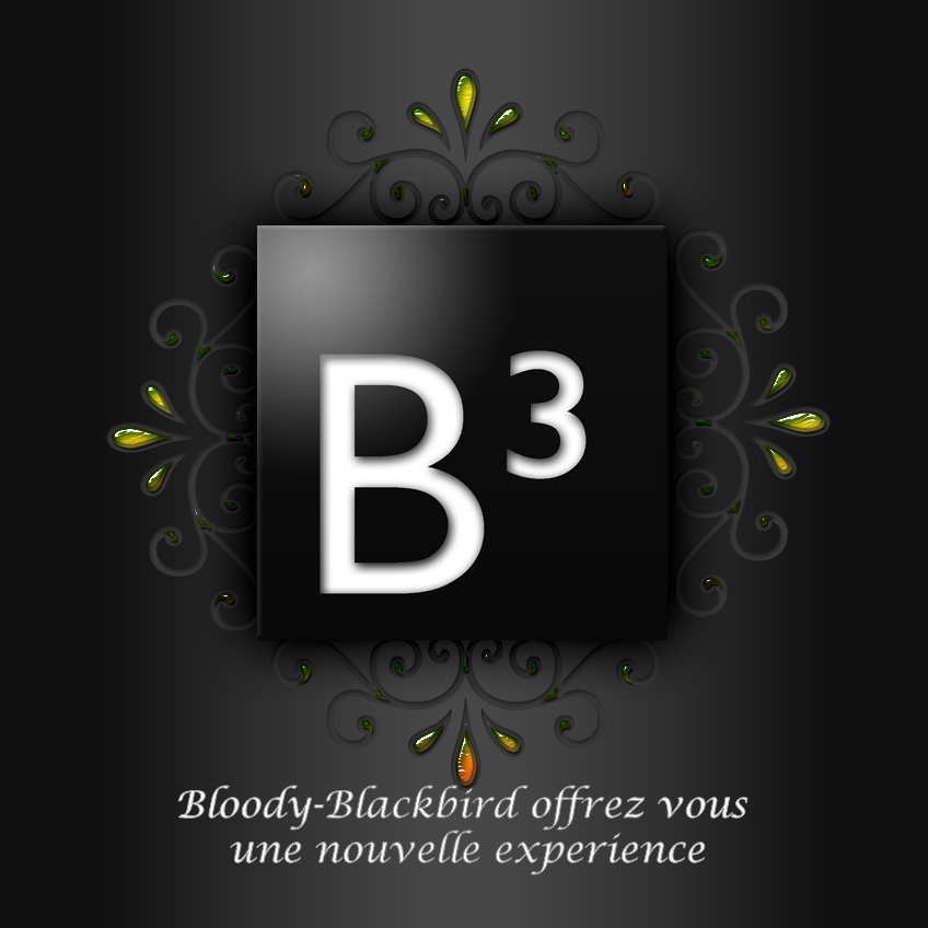 B3 Logo by flugv1 on DeviantArt