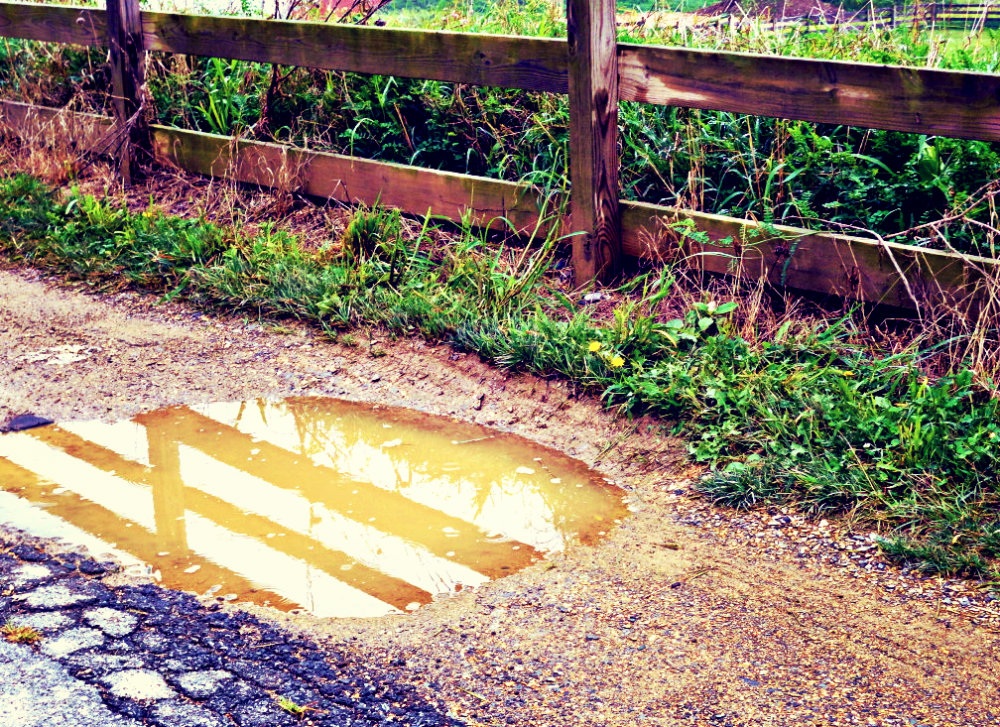 Evening Rain