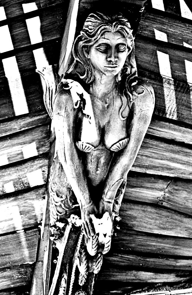 Deadly Siren Black And White by TemariAtaje