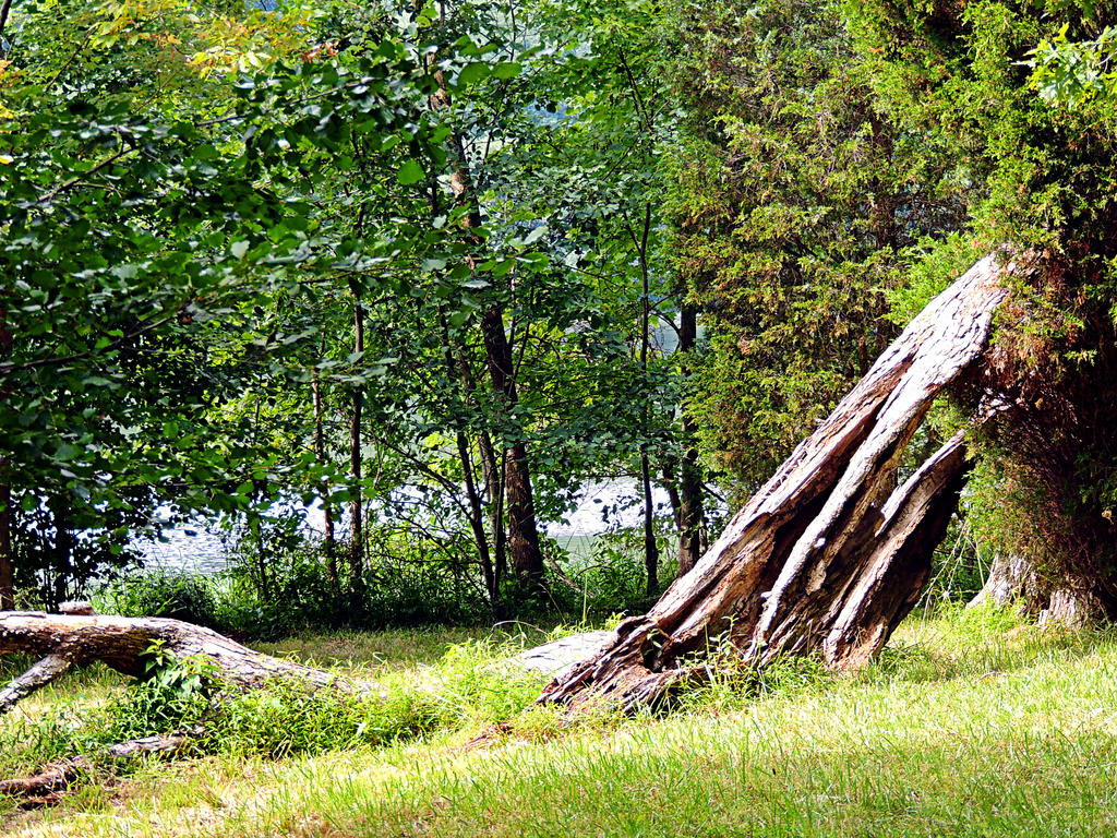 Lakeside Trail Rock Formation 01