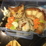 My Neighbor Totoro Bento