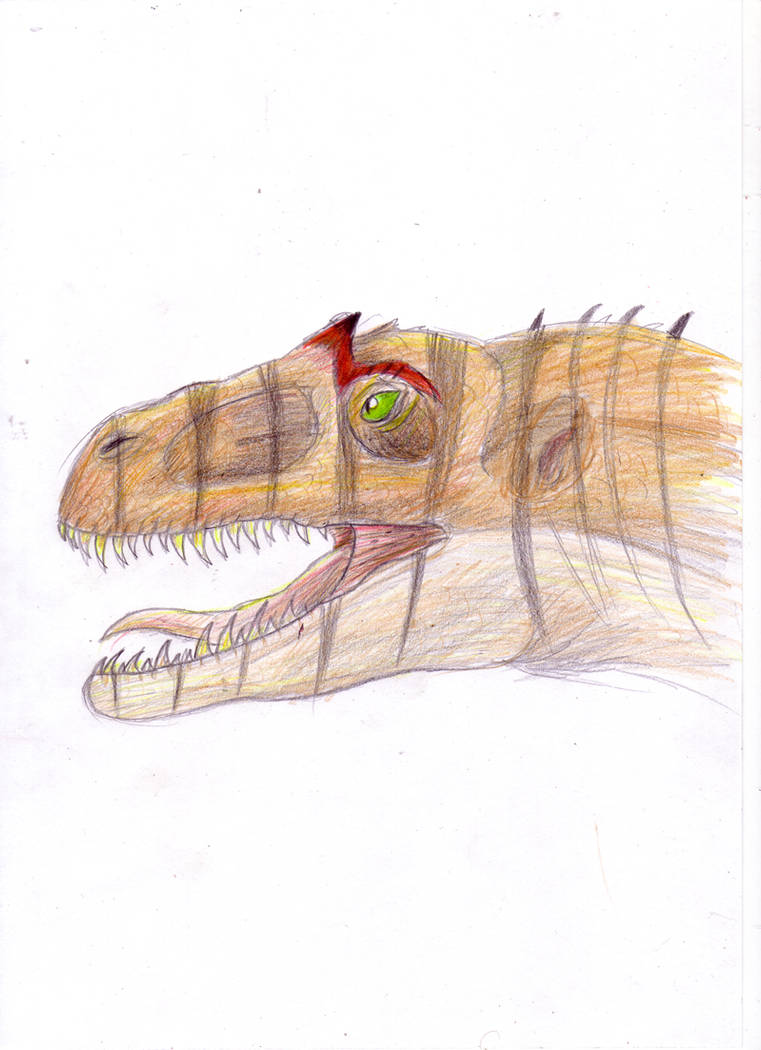 Allosaurus Head By JidaneObsidianclaw On DeviantArt