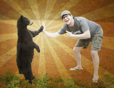 Bear Hi Five