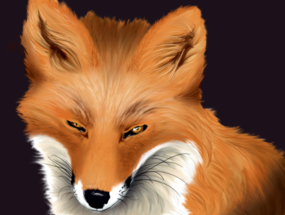 Fox