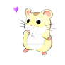 Little Hamster