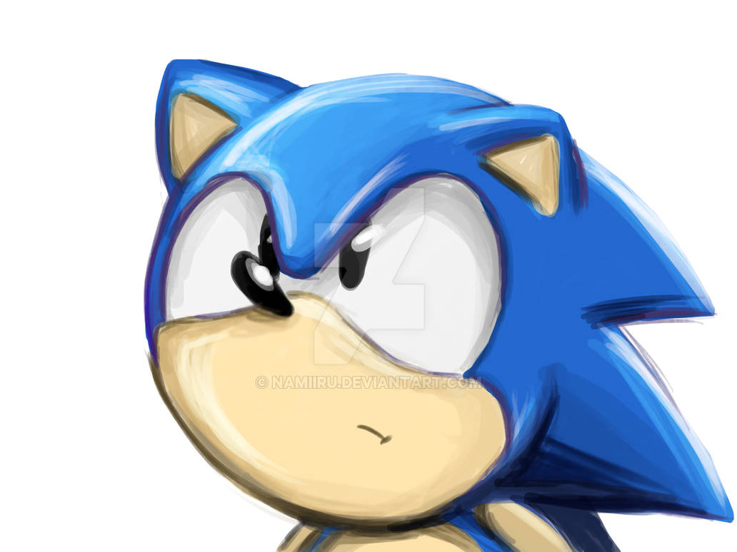 Sonic Speed Painting by Namiiru on DeviantArt