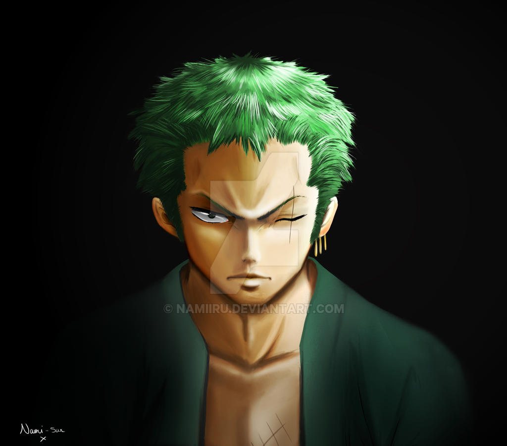 New World Zoro Portrait