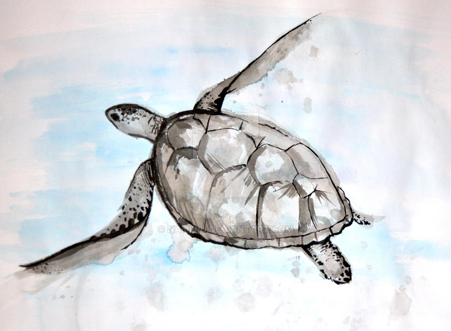 Swimming Turtle by Namiiru on DeviantArt