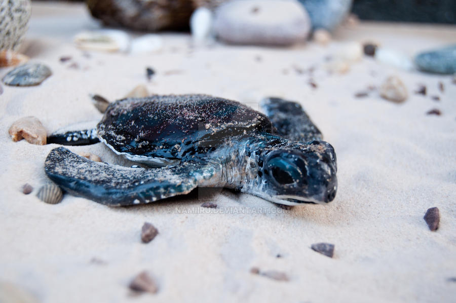 Baby Turtle Sculpture