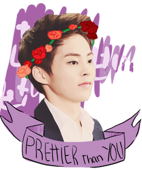 Xiumin Bae[EXO HIPSTER COLECTION]