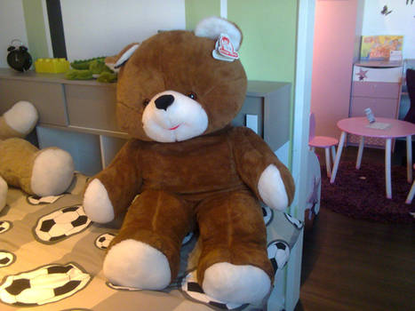 Giant Teddy Bear Plush