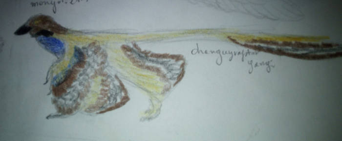 Changyu Raptor Explore the Best Changyuraptor Art | DeviantArt