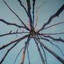 Teepee