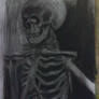 Anatomy skeleton study 2