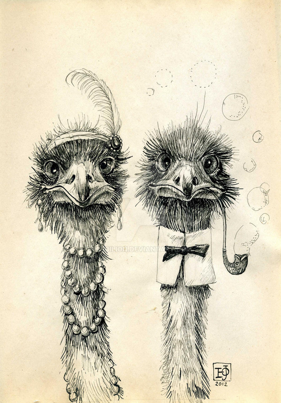 Mr and Mrs Ostrich