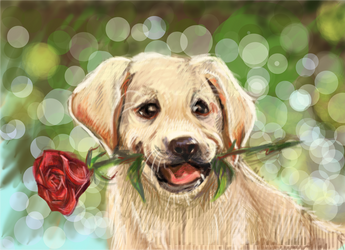 Romantic puppy