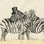 Fancy Zebras couple