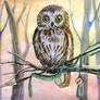 Sagittarius - Zodiac owl