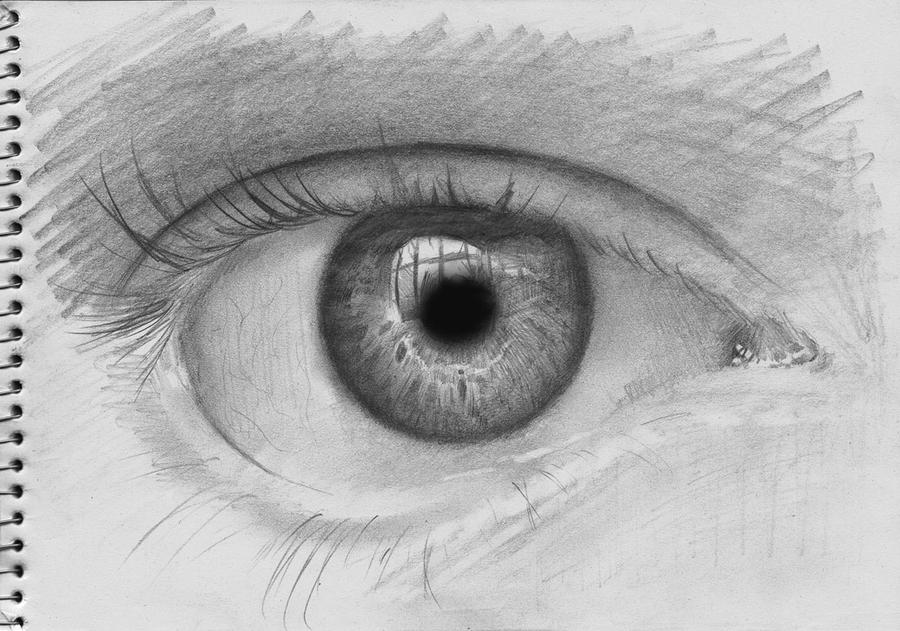 Sketch of Eye