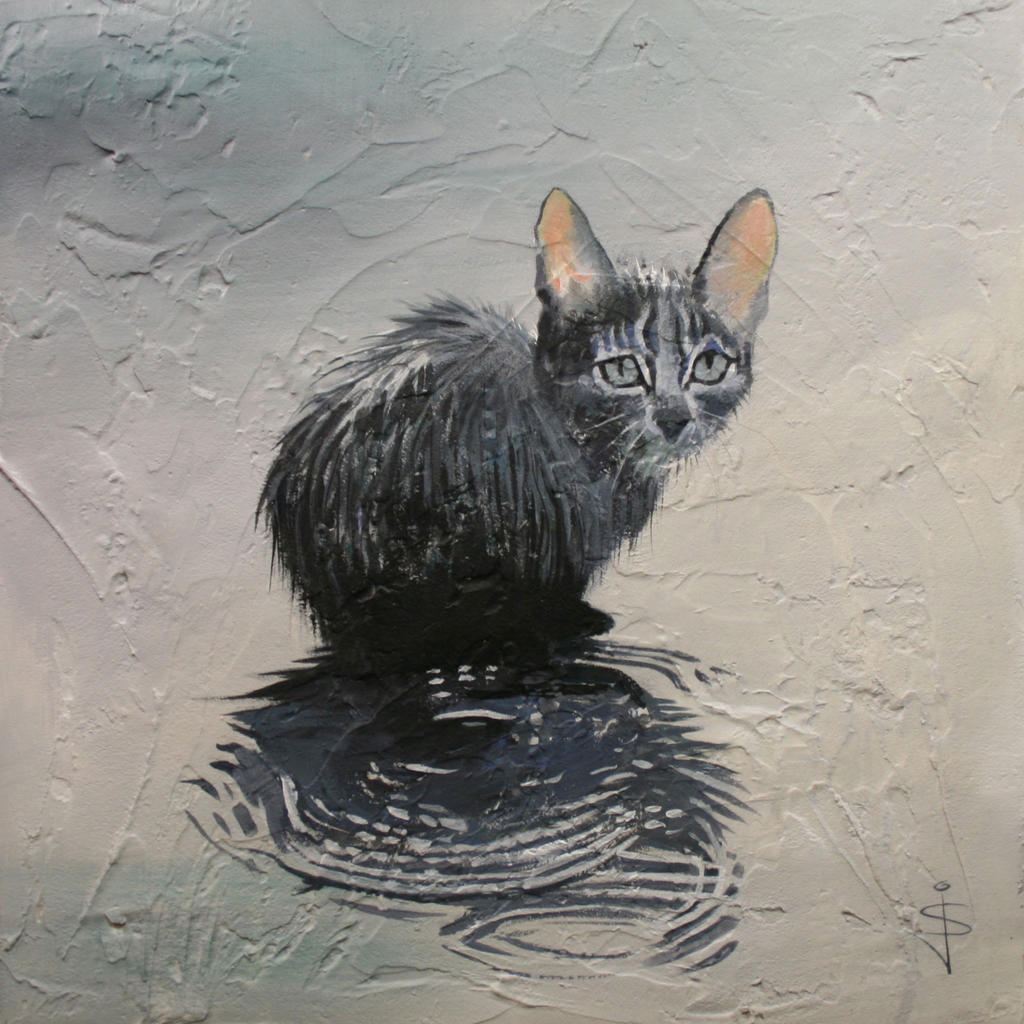 Cat in the rain