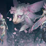 Adopt - Orchis rosea. Closed