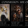 Commission Open