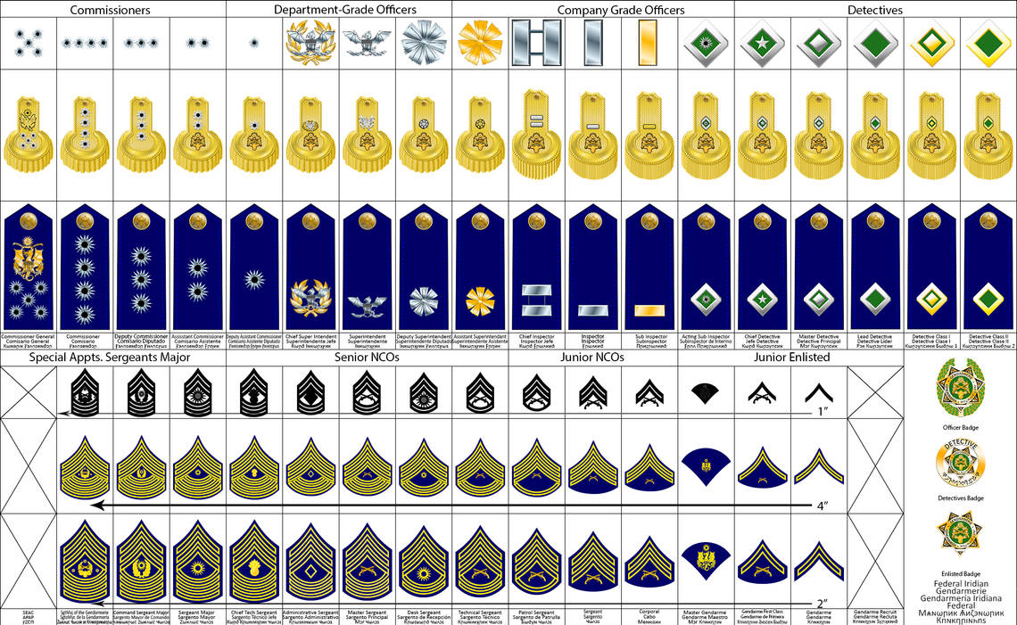 Federal Iridian Gendarmerie by Dragon-of-Ra on DeviantArt