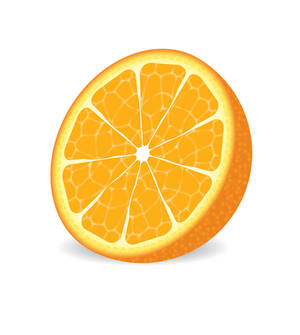 Vector Delicious Orange