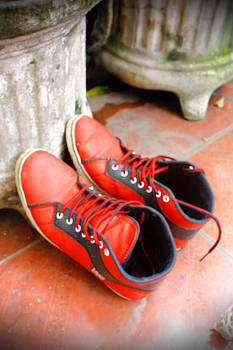 A Pair of Red Shoes