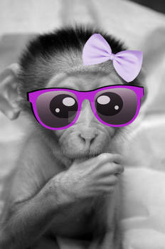 Kawaii Baby Monkey G