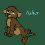 Asher- Nothing but Unfortunate.