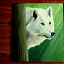 Arctic Wolf