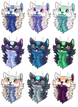 Kitty Cat Colors!