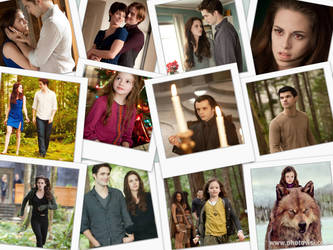 the beauty of being a twihard