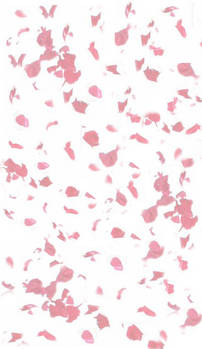 Falling Rose Petals